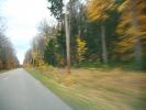 Autumn, fall colors, trees, leaves, forest, trees, woodland, NLMD01_025