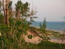 Tree, Beach, Plant, Lake, shoreline, shore, NLMD01_048
