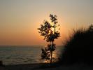 Sunset, Tree, Beach, Plant, Lake, shoreline, shore, NLMD01_051