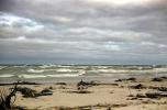 Sand, Beach, Windy, Waves, Great Lakes, water, NLMV01P03_02