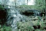 Frozen Waterfall, cold, ice, rever, stream, cascade, forest, Roger Clark Park