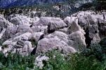 Rocks, Boulders, Trees, NMDV01P05_08