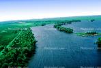 The Delta, Swamp, Bayou, Water, Trees, wetlands, NMLV01P02_04