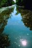 Swamp, Bayou, Water, Trees, stillness, Waterway, wetlands, NMLV01P02_13.0927