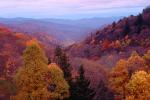 Forest, Woodlands, Trees, Hills, Mountains, autumn, NMTV01P04_14.0927