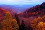 Forest, Woodlands, Trees, Hills, Mountains, autumn, Equanimity