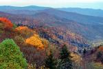 Forest, Woodlands, Trees, Hills, Mountains, autumn, NMTV01P04_18