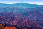 Forest, Woodlands, Trees, Hills, Mountains, autumn, NMTV01P04_19.0624