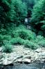 deciduous, forest, stream, rocks, NMTV01P05_18