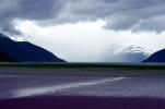 Mountains, clouds, Mud Flat, wetlands, Turnagain Arm, NNAV02P08_08
