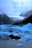 Glacial Lake, Icebergs, Portage Glacier, water, NNAV02P08_16.0931