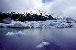 Glacial Lake, Icebergs, Portage Glacier, water, NNAV02P09_02