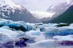 Glacial Lake, Icebergs, Portage Glacier, water, NNAV02P09_03