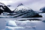 Glacial Lake, Icebergs, Portage Glacier, water, NNAV02P09_07