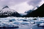 Glacial Lake, Icebergs, Portage Glacier, water, NNAV02P09_08