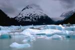 Glacial Lake, Icebergs, Portage Glacier, water, NNAV02P09_10.0931