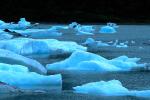 Glacial Lake, Icebergs, Portage Glacier, water