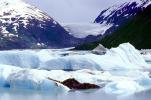 Glacial Lake, Icebergs, Portage Glacier, water, NNAV02P09_18