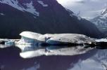 Portage Glacier, NNAV03P06_12