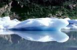 Portage Glacier, NNAV03P07_12