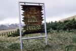 The Adak Forest, NNAV03P14_05