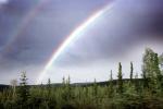 double Rainbows, trees, NNAV04P01_16