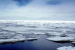 Flat Icebergs, NNAV04P02_02