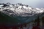 Mountains, forest, woodland, river, valley, Railroad to White Pass, NNAV04P05_02