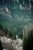 Mountains, forest, woodland, river, valley, Railroad to White Pass, NNAV04P05_04