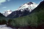 Mountains, forest, woodland, river, valley, Railroad to White Pass, NNAV04P05_16