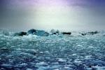 Icebergs, Valdez, Coast, Coastline, slush, NNAV04P09_02