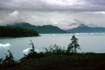 view from Growler Island, Icebergs, Valdez, Coast, Coastline, NNAV04P09_05
