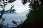 view from Growler Island, Icebergs, Valdez, Coast, Coastline, NNAV04P09_06