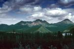 Forest, Trees, Mountains, Denali National Park, NNAV04P10_17