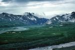 River Valley, Fields, Mountains, Denali National Park