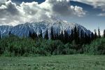 Mountains, Forest, clouds, woodlands, trees, field, NNAV04P14_03