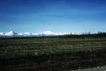 mountain range, Denali, NNAV04P15_03