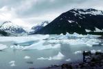 Portage Glacier, icebergs, mountains, NNAV05P02_19