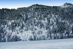 Ice, Trees, Cold, Frigid, Frosty, Frozen, Snowy, Winter, NNIV01P03_05
