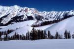 Snow, Ice, Mountain, Tree, Cold, Frozen, Snowy, Winter, Wintry, NNIV01P03_13.0932