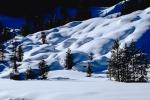 smooth snow, hills, Forest, Snow, Mountains, Trees, Cold, Frozen, Snowy, Winter, Wintry