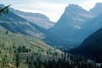 Mountains, Trees, Glacier National Park, NNMV01P05_14