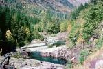 River, Valley, Trees, Stream, Glacier National Park, NNMV01P05_19