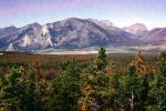 Forest, Woodlands, Trees, Hills, Mountains, Glacier National Park, autumn, NNMV01P06_19