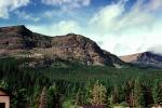 Mountain, Glacier National Park, forest, trees