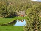 Pond, Trees, Grazing Horse, NNOD01_011