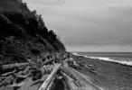 Seaside, Driftwood, Pacific Ocean, Beach, NNOPCD0654_067