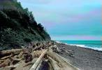 Seaside, Driftwood, Pacific Ocean, Beach, NNOPCD0654_067B