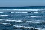 Waves, Pacific Ocean, Seascape, Ziolkouski State Park, Umpqua, NNOV02P01_04.0933
