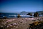 Pacific Ocean, Seascape, Driftwood, Rocks, Beach, Sand, Sandy, NNOV02P04_04.0933